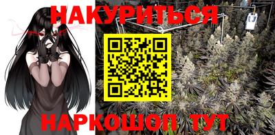 прущие крисы Бийск