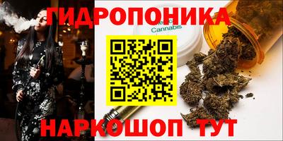 прущие крисы Бийск