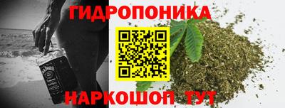 скорость Берёзовский