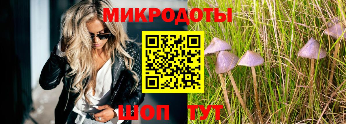 Иваново  Галлюциногенные грибы MAGIC MUSHROOMS  Вход с VPN 