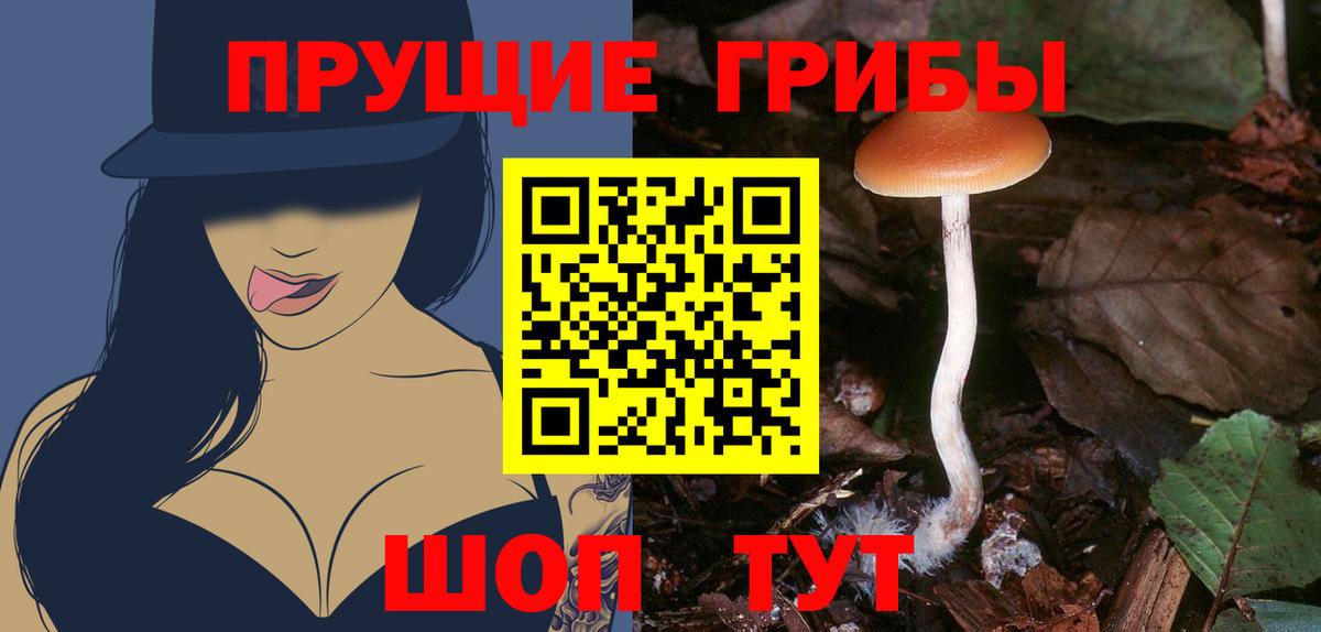 Галлюциногенные грибы Psilocybine cubensis Иваново